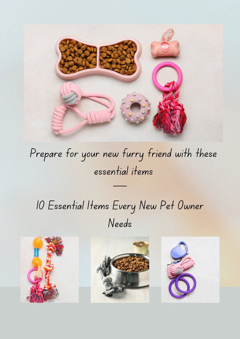 10 Essential Items Every New Pet Owner Needs