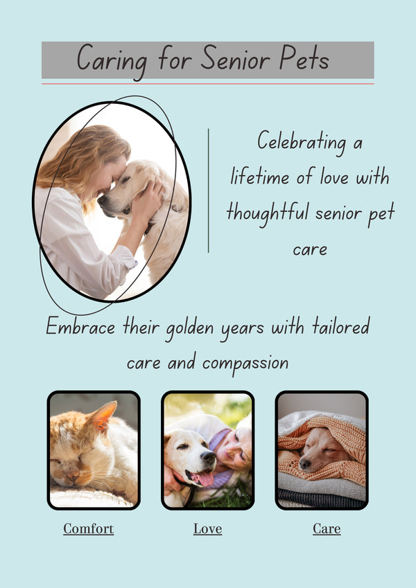 Caring for Senior Pets