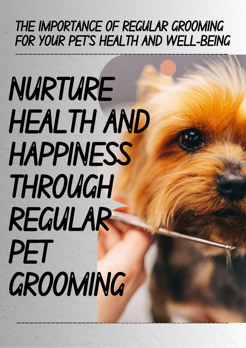 The Importance of Regular Grooming for Your Pet's Health and Well-being