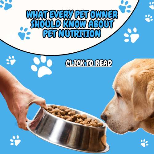 What Every Pet Owner Should Know about Pet Nutrition
