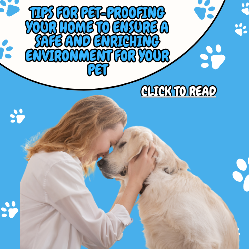 Tips for Pet-Proofing Your Home To Ensure A Safe and Enriching Environment for Your Pet
