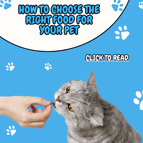 How to Choose the Right Food for Your Pet