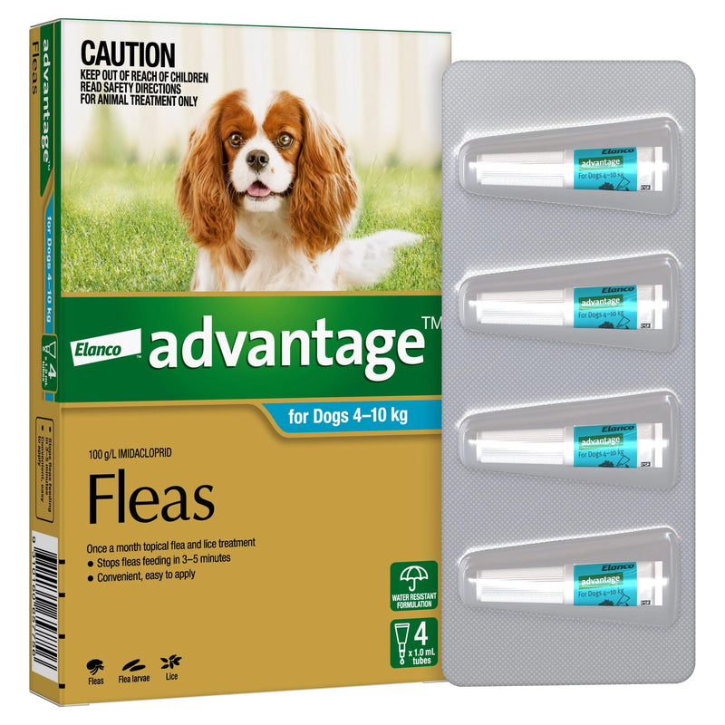 ADVANTAGE Medium Dog Aqua 4kg to 10kg