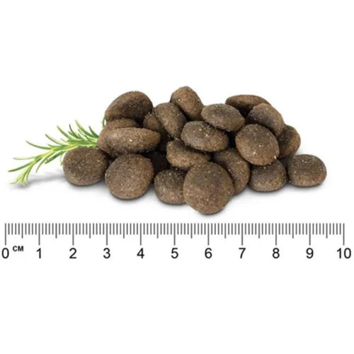 Pet Grove Stay Loyal Large Breed Puppy GRAIN FREE Pet Grove 