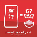 Hill’s Science Diet Adult Cat 7+ Hairball Control