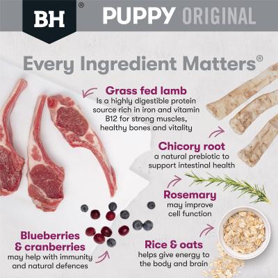 Black Hawk Puppy Medium Breed Lamb & Rice