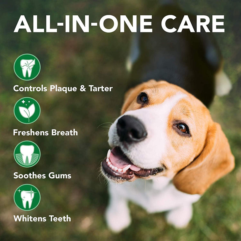 Vets Best Dental Care Kit