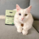 PetzPark Probiotic – For Cats