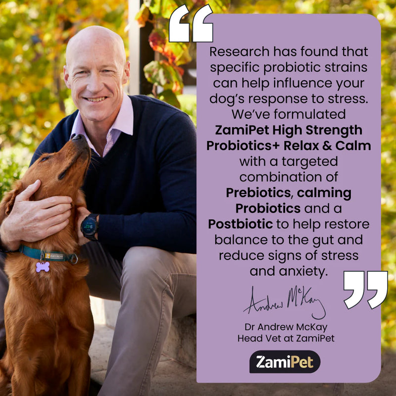 ZamiPet High Strength Probiotics+ Relax & Calm