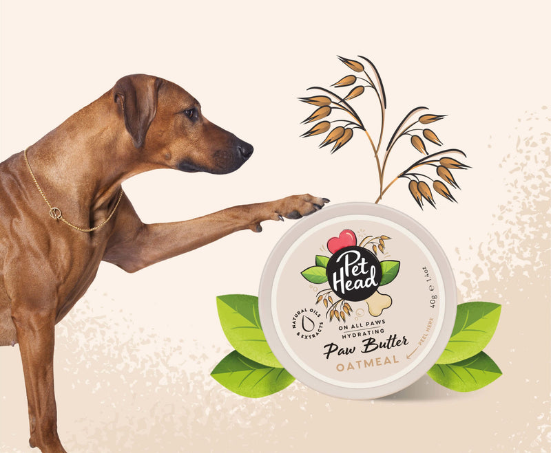 Pet Head On All Paws Oatmeal Paw Butter