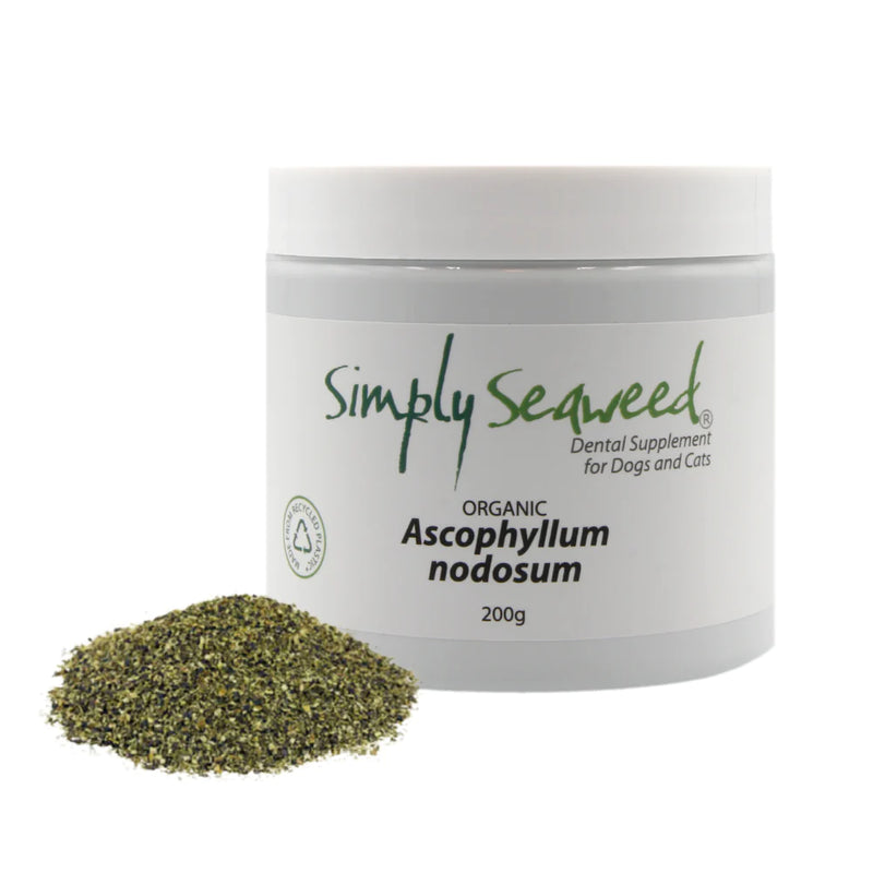 Simply Seaweed Dental Supplement