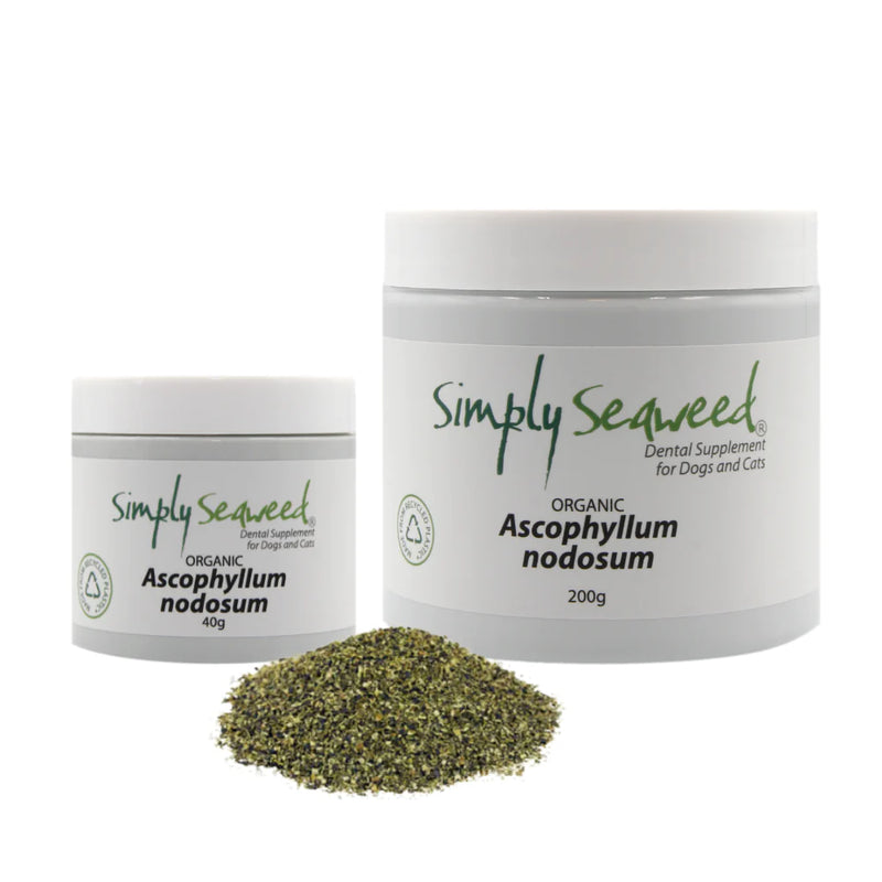 Simply Seaweed Dental Supplement