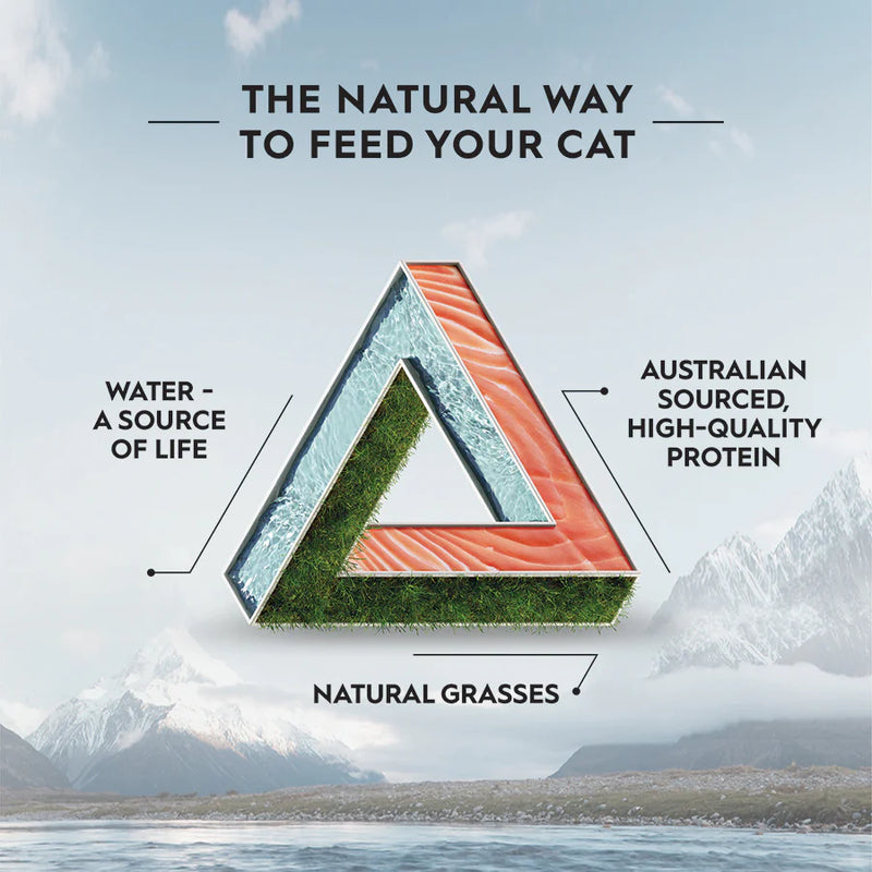 Pet Grove Trilogy Adult Cat GRAIN FREE Australian Salmon Pet Grove 