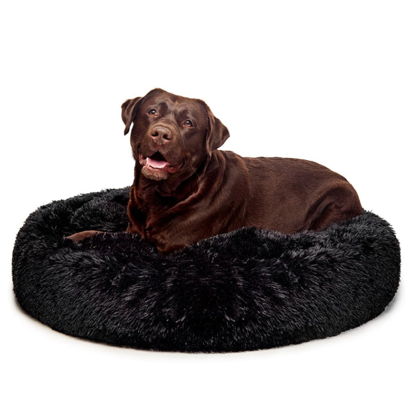 Fur King Aussie Calming Dog Bed