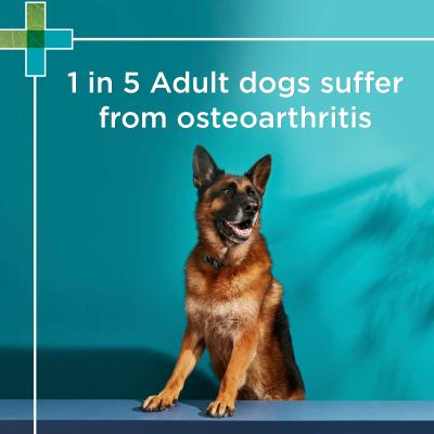 Paw Blackmores Osteocare Joint Protect Chews