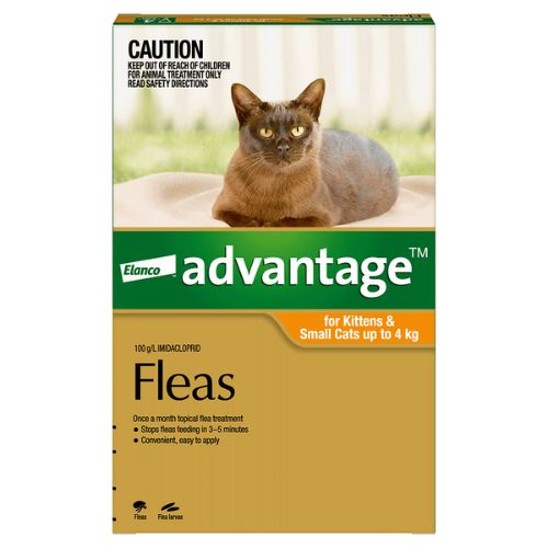 ADVANTAGE Orange Kittens & Small Cats up to 4kg