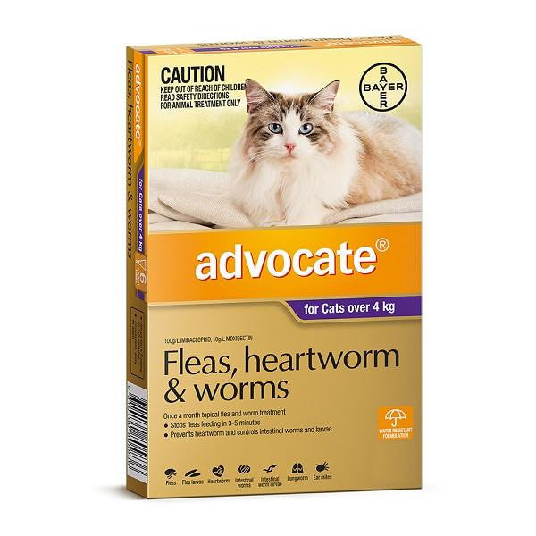 Pet Grove ADVOCATE Purple Large Cat over 4kg Pet Grove advocate flea heartworm worming