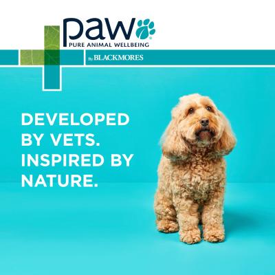 Paw Blackmores Osteocare Joint Protect Chews