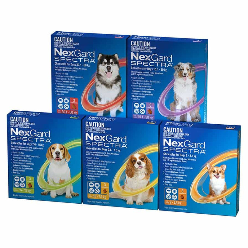 NexGard SPECTRA Chewables for Small Dog YELLOW