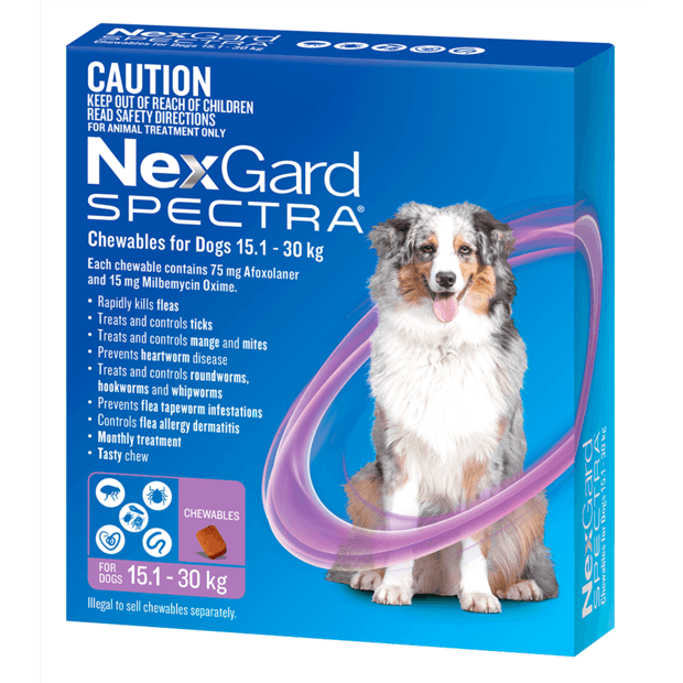 NexGard SPECTRA Chewables for Large Dogs PURPLE